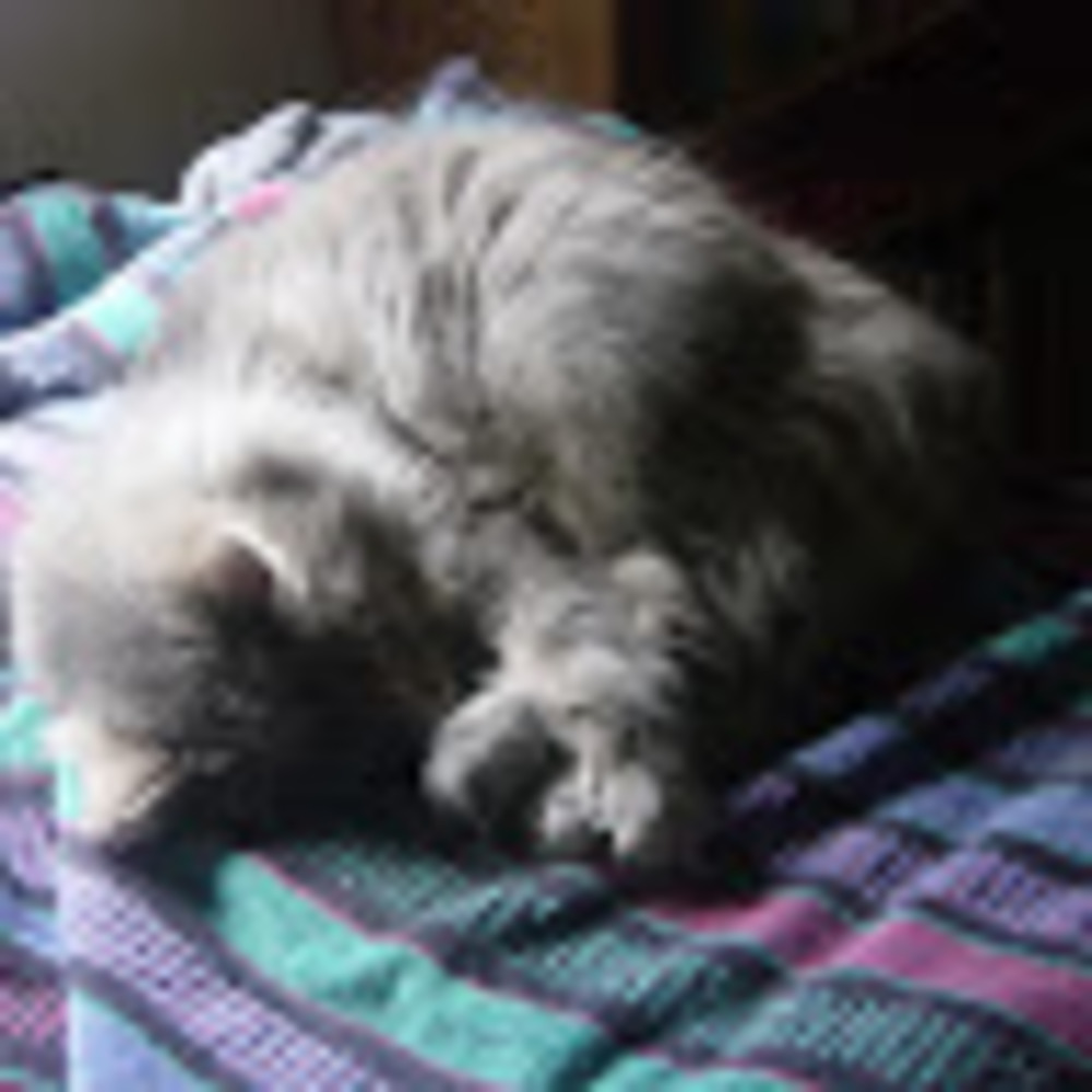 Meet your Posher, Sharon